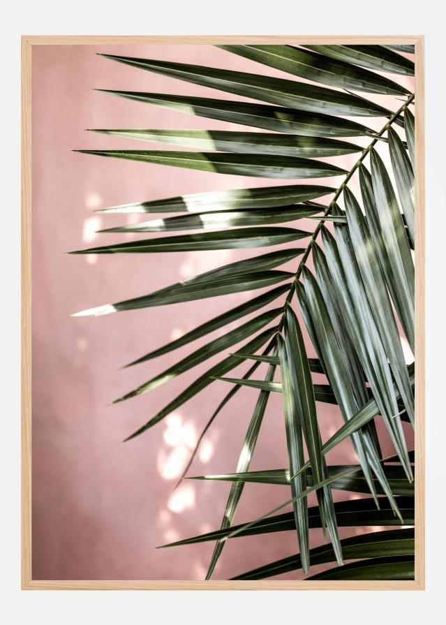 Palm Leaves Poszter