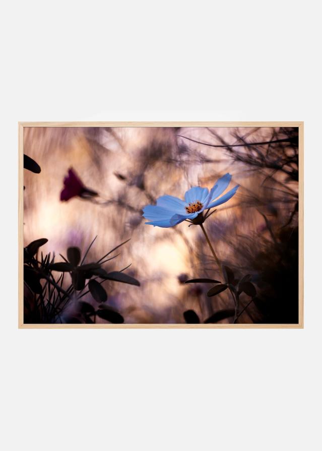 L’Indifférence Poszter