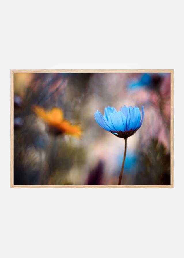 Do you wanna dance with me Poszter