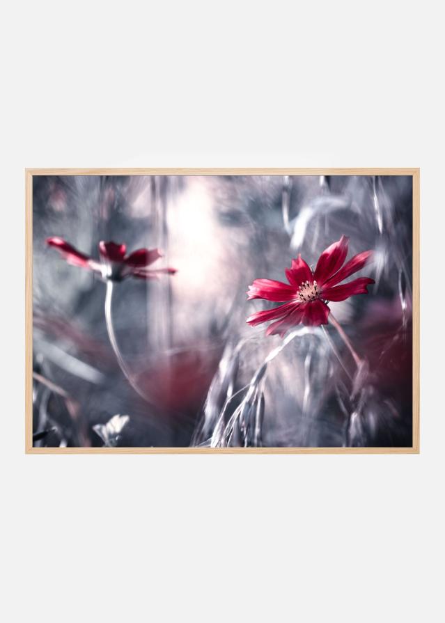 Seduction games Poszter