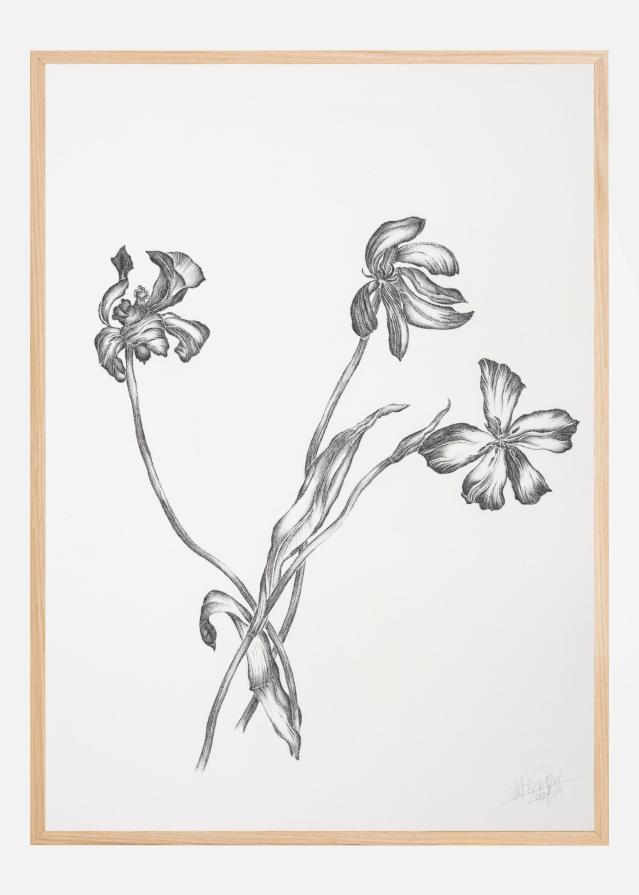 Where Have All the Flowers Gone VI Poszter