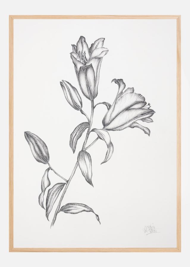 Where Have All the Flowers Gone V Poszter