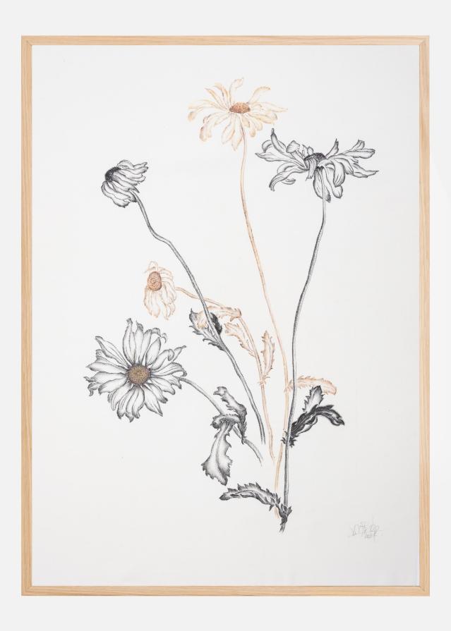 Where Have All the Flowers Gone Poszter