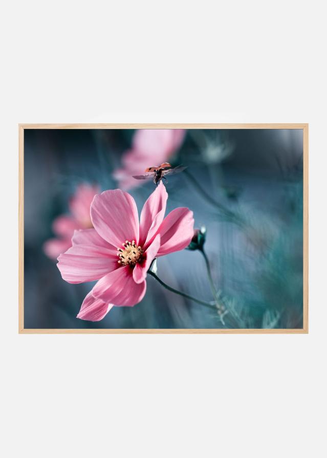 Clair de Terre Poszter