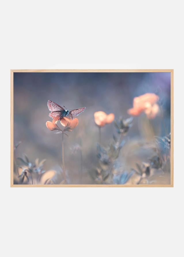 The Lady of Lothlorien Poszter