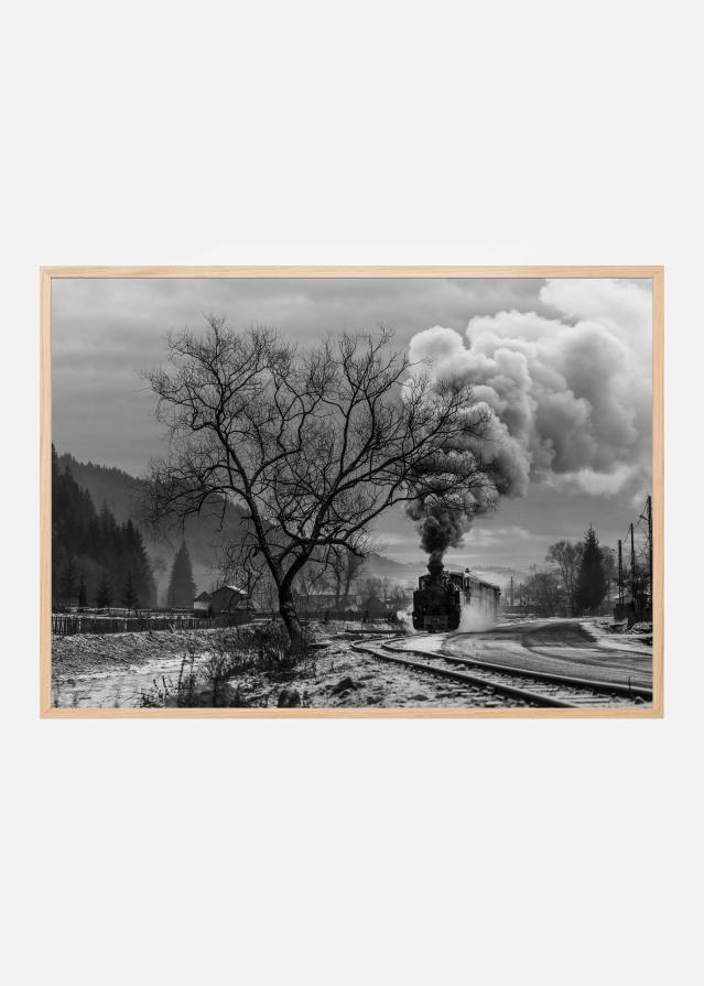 Mocanita Hutulca Poszter