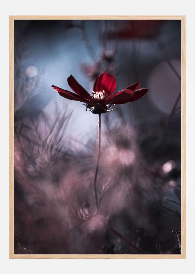 Tenue de soirAce Poszter