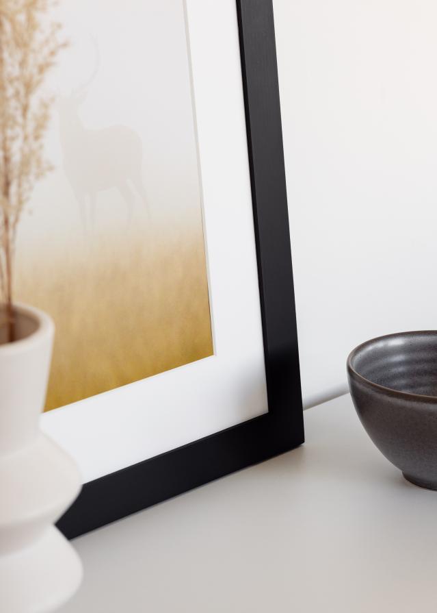 BGA Select Wide Akrilüveg Fekete 59,4x84,1 cm (A1)