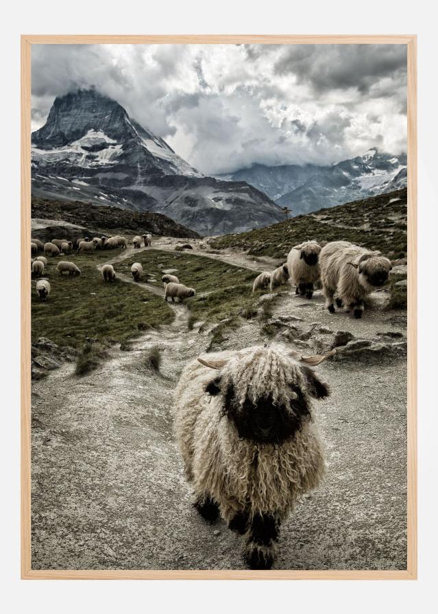 Out of my way Poszter