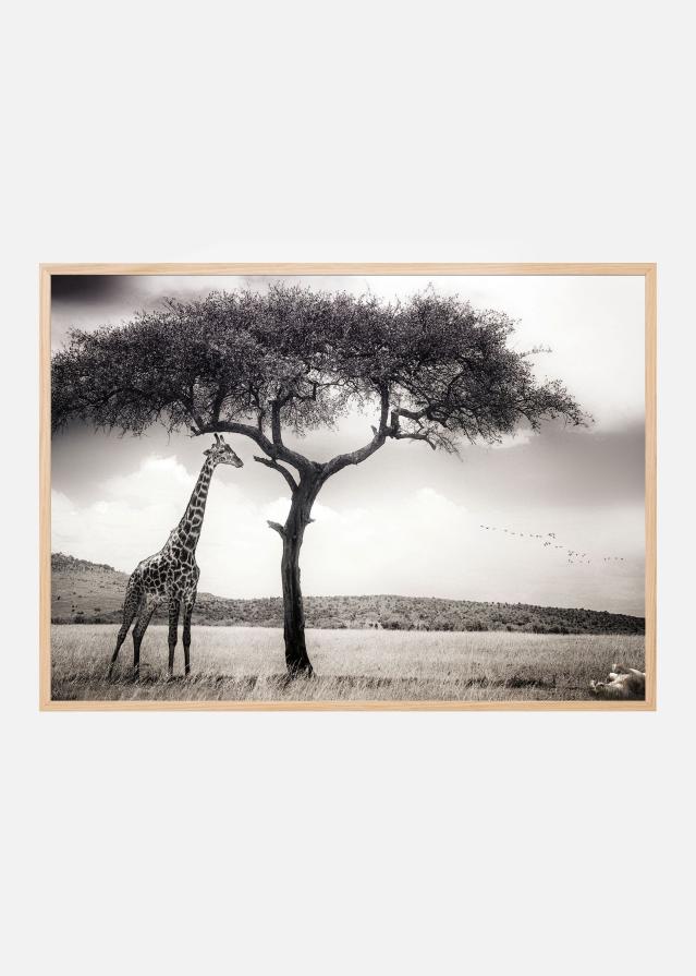 Under the African sun Poszter