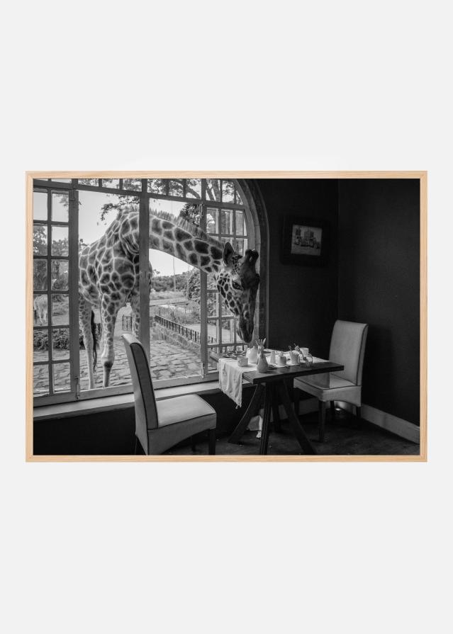 Breakfast time Poszter