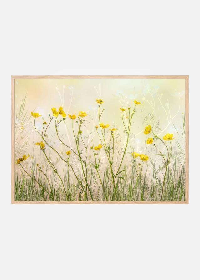 Good morning! Poszter