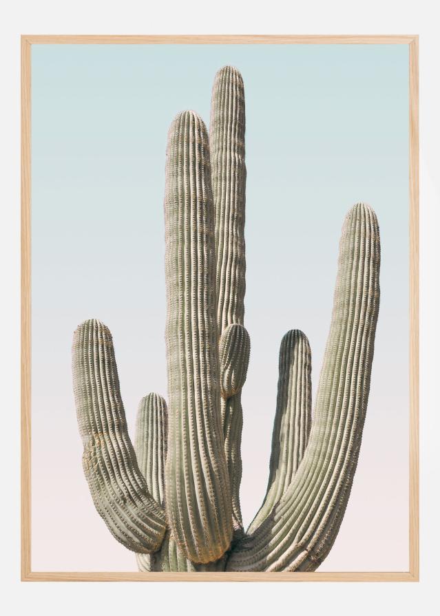 Saguaro Poszter