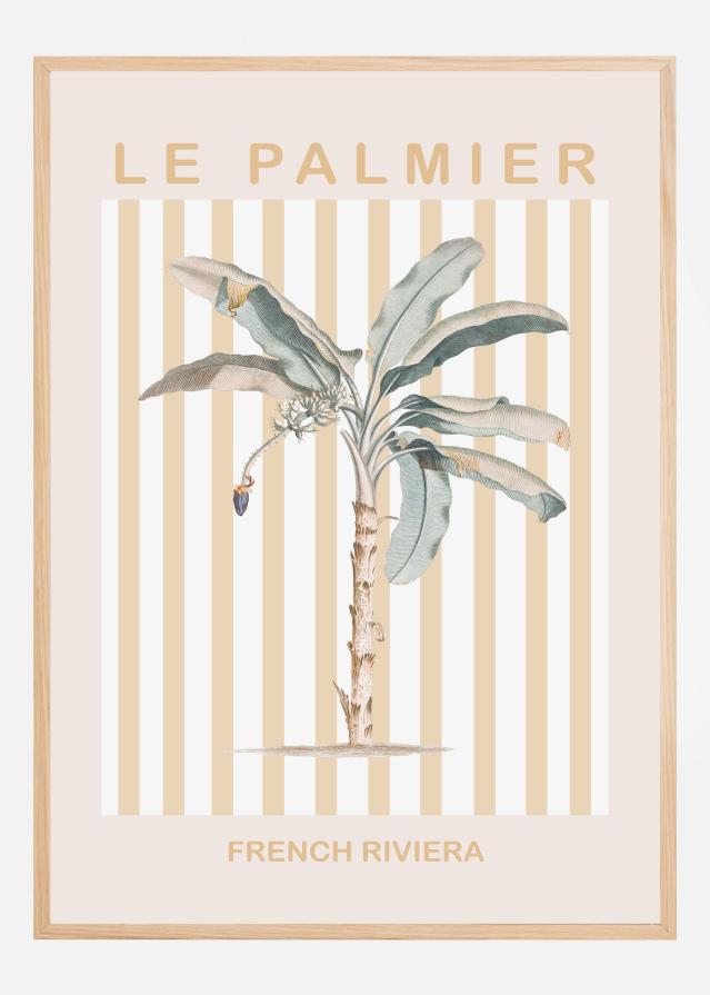 Riviera Plam Tree Poszter