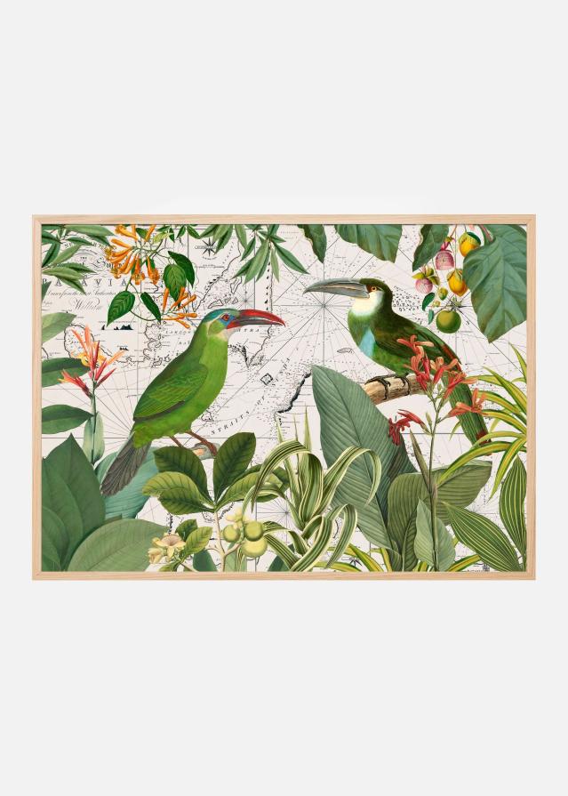 Parrots Nostalgic Journey 3 Poszter