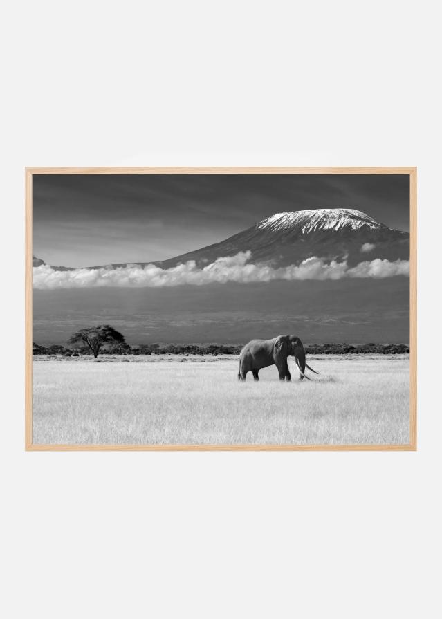 Lost Colors II Poszter