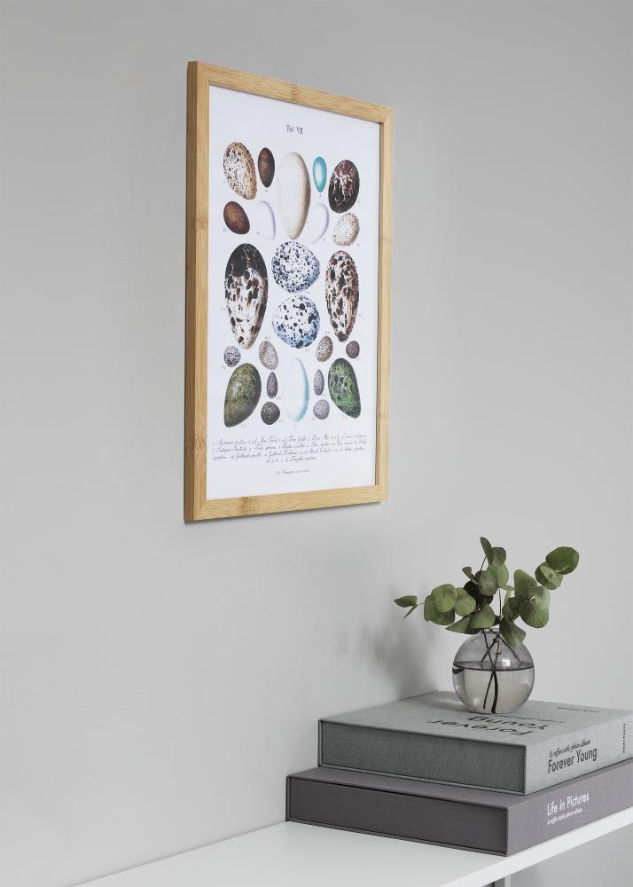 Keret Hoei Bamboo 50x70 cm - Paszpartuk Fehér 40x60 cm