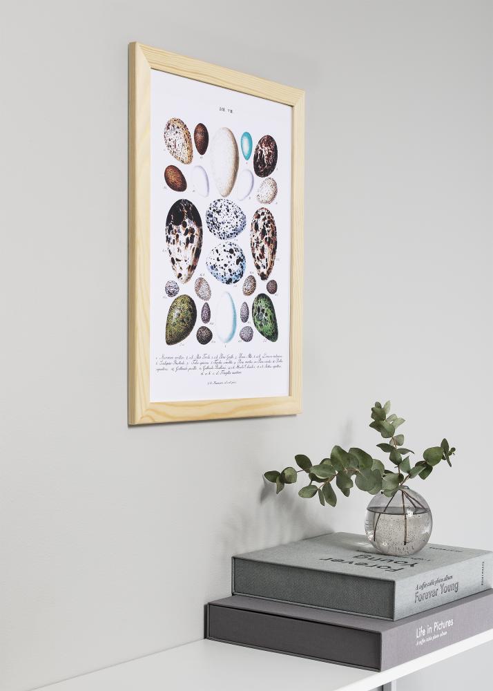 Keret Trendline természet 60x60 cm - Paszpartuk fehér 50x50 cm