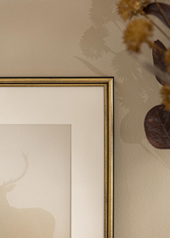 Keret Horndal Akrilüveg Arany 7x10 cm