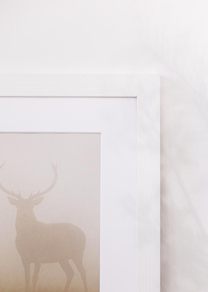 Keret Sandra Akrilüveg Fehér 50x70 cm