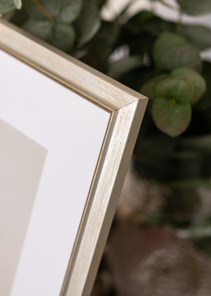 Keret Marisa Akrylglas Ezüst 60x80 cm