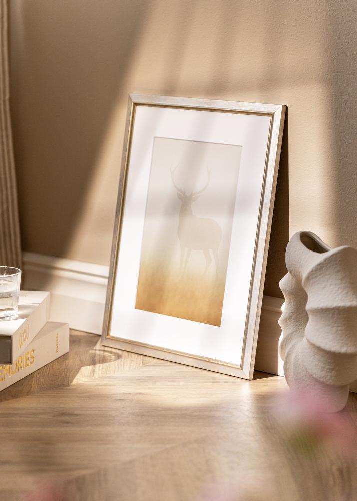 Keret Marisa Akrylglas Ezüst 60x80 cm