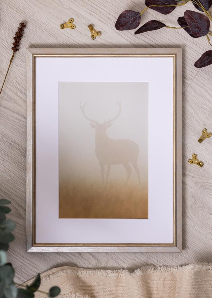 Keret Marisa Akrylglas Ezüst 60x80 cm