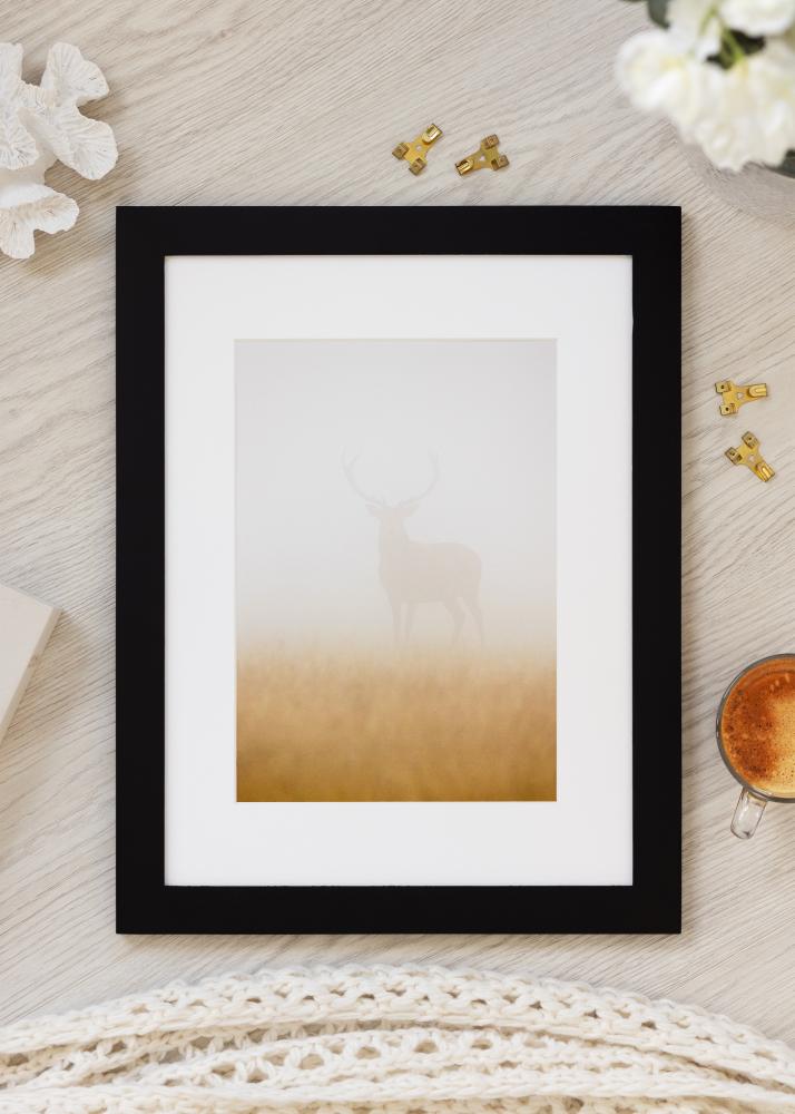 BGA Select Wide Akrilüveg Fekete 42x59,4 cm (A2)