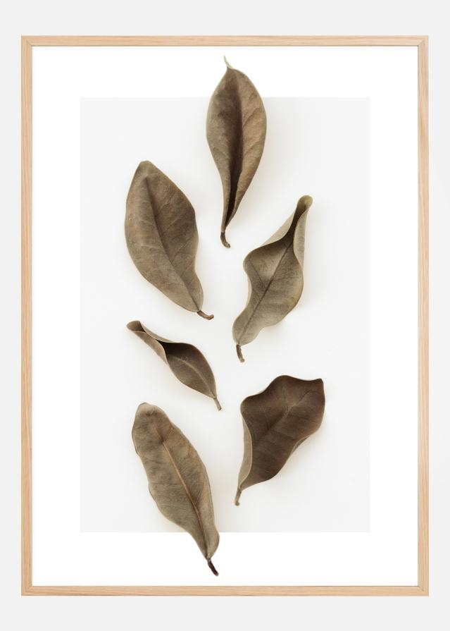 Dried Leaves Poszter