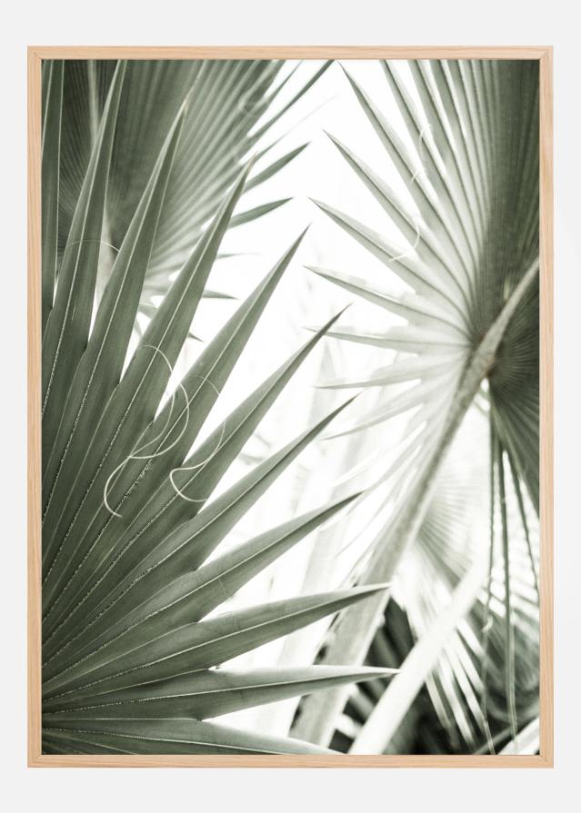 Green Leaves Poszter