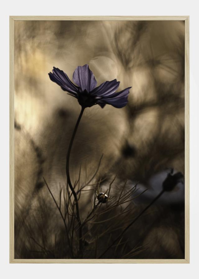 The Dancing Queen Poszter