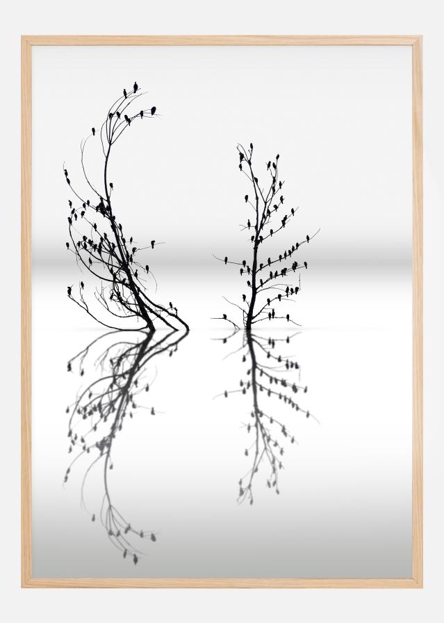 Dreamland 03 Poszter