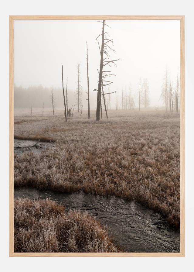 Early Morning Poszter