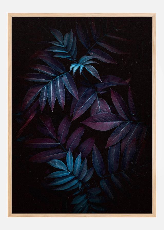 Autum Leaves Poszter