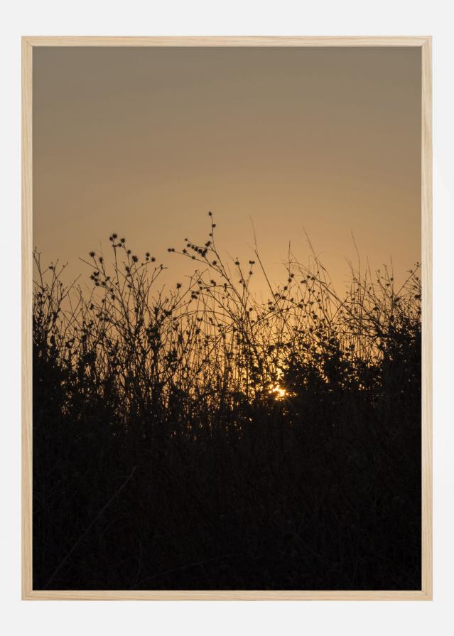 Sneak Peak On Sun Poszter