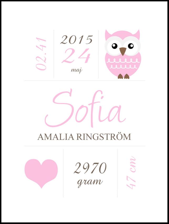 Owl Birth Poszter Pink