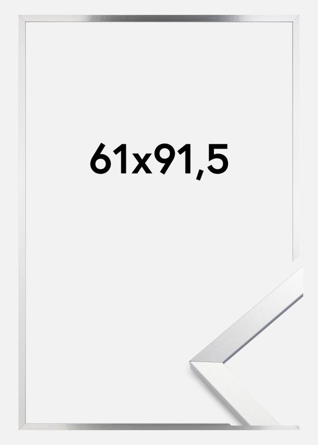 Keret Trendy Akrilüveg Ezüst 61x91,5 cm