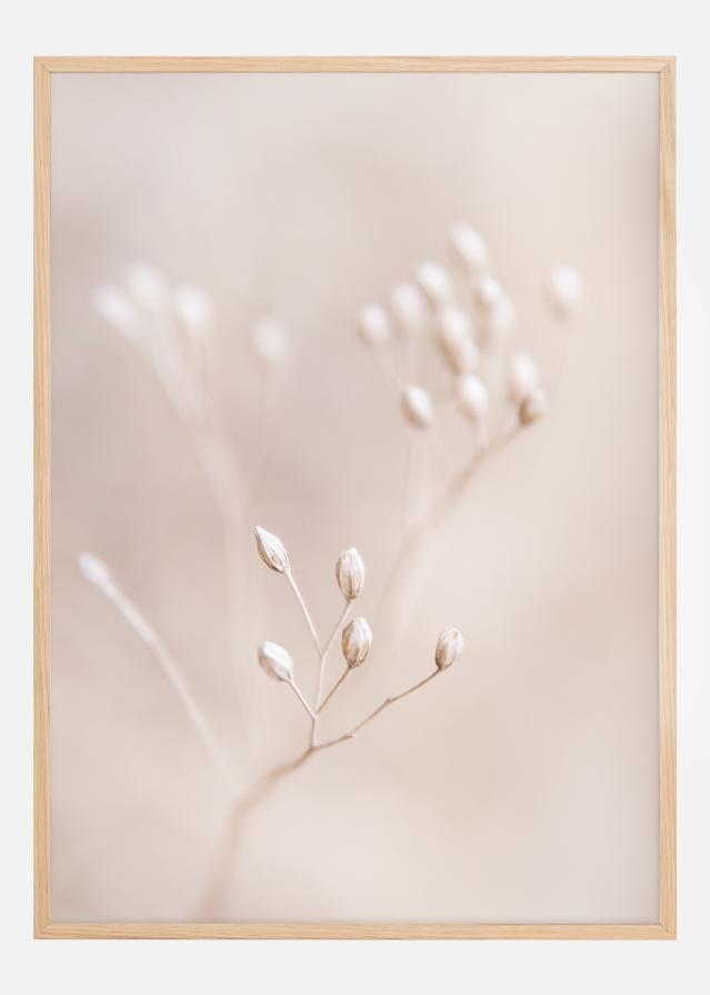 Close up Straw Poszter