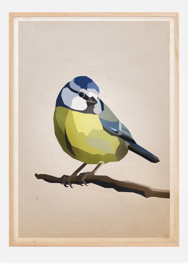 Blue tit Poszter