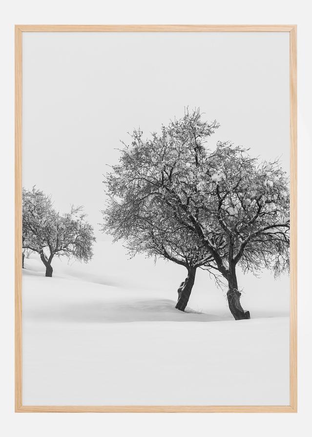 White carpet II Poszter