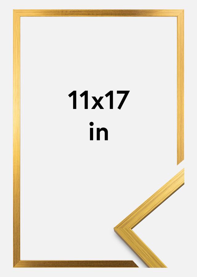 Keret Edsbyn Arany 11x17 inches (27,94x43,18 cm)
