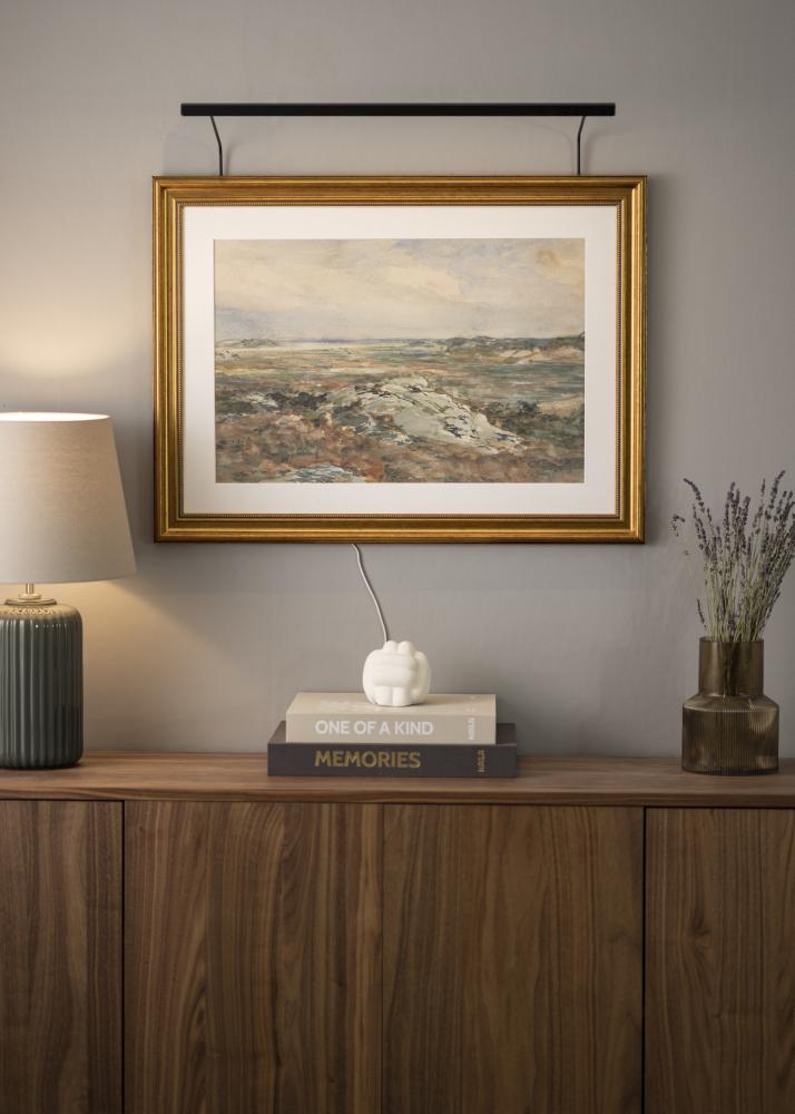 BLP 117 kép megvilágítás 65 cm - Fekete