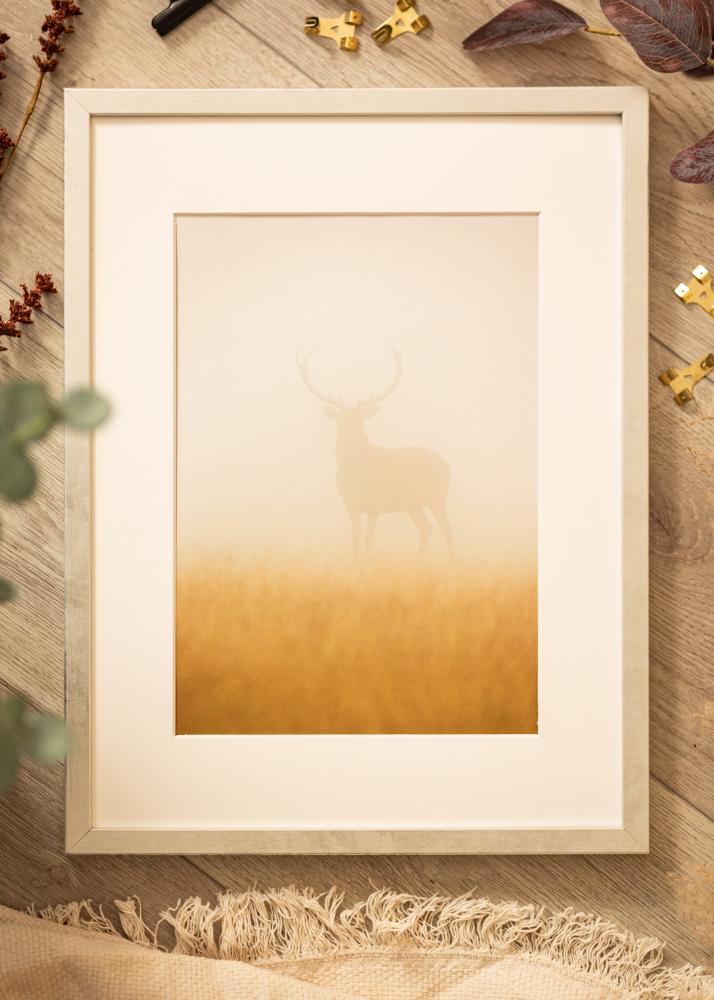 Keret Ares Akrilüveg Ezüst 30x45 cm