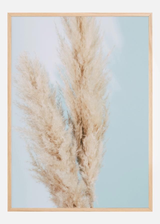 Pampas Grass Blue Poszter