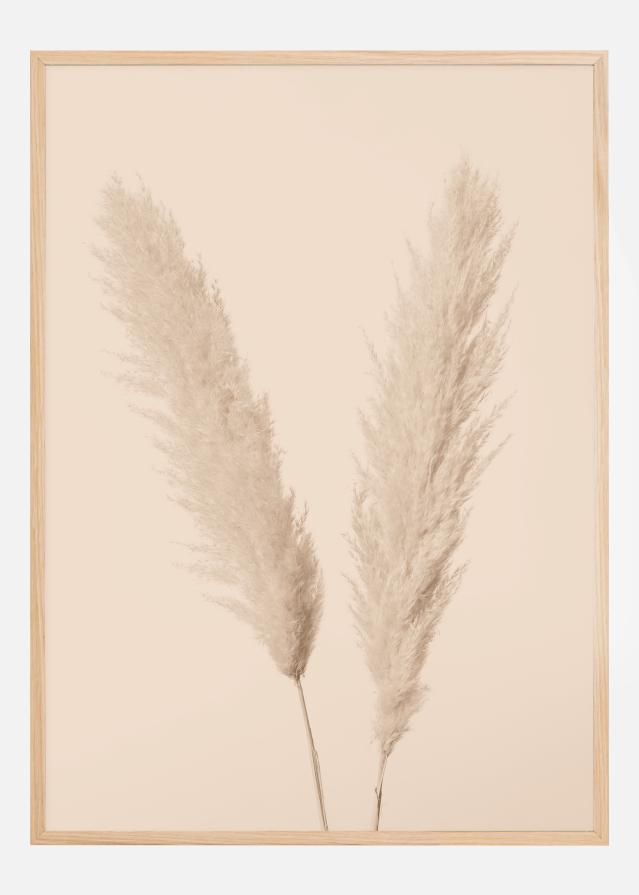Pampas Grass I Poszter