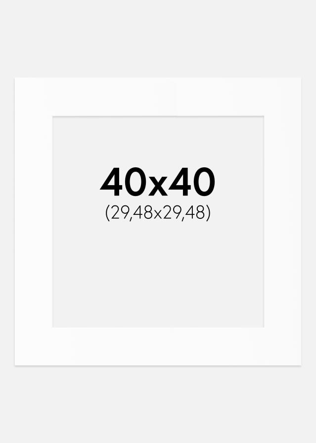Paszpartu Standard fehér (fehér mag) 40x40 cm (29,48x29,48)