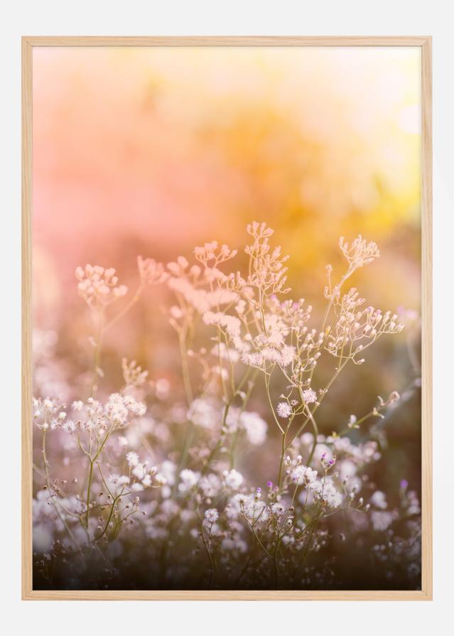 A Beautiful Summer Evening Poszter