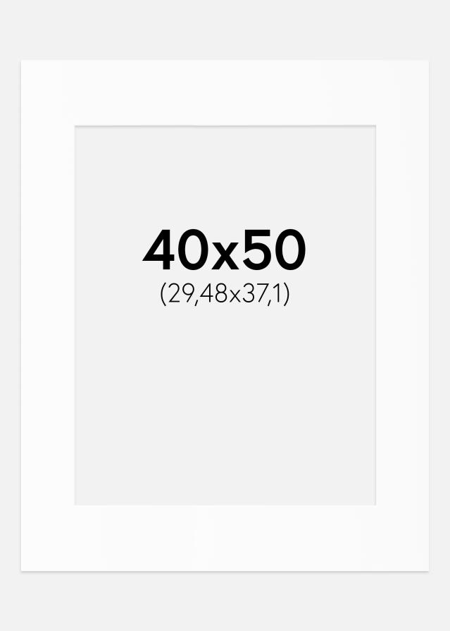 Paszpartu Standard fehér (fehér mag) 40x50 cm (29,48x37,1)