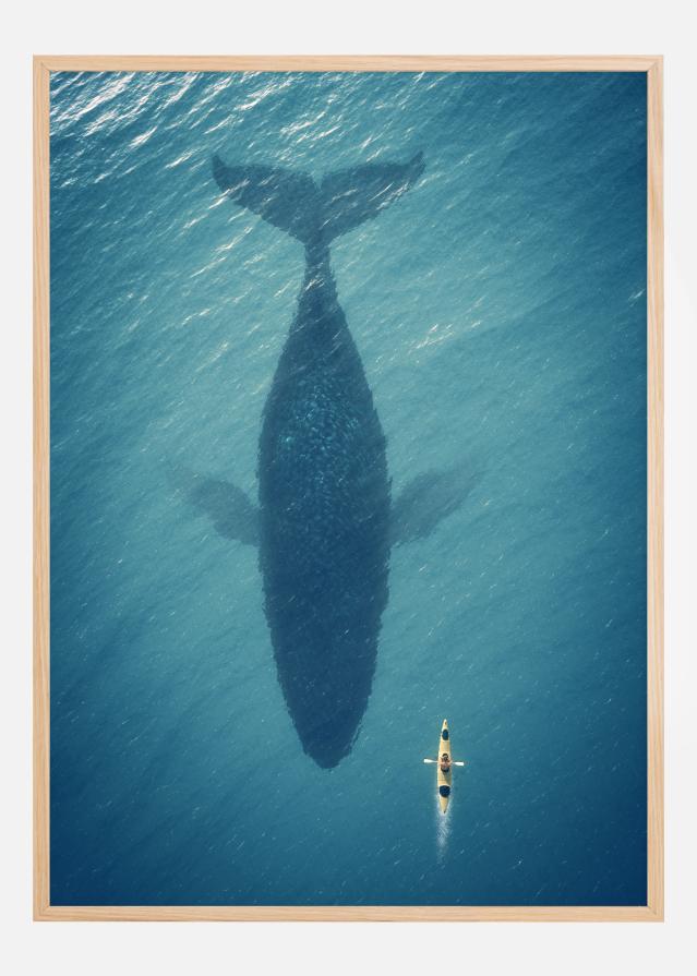 A Big Whale Poszter