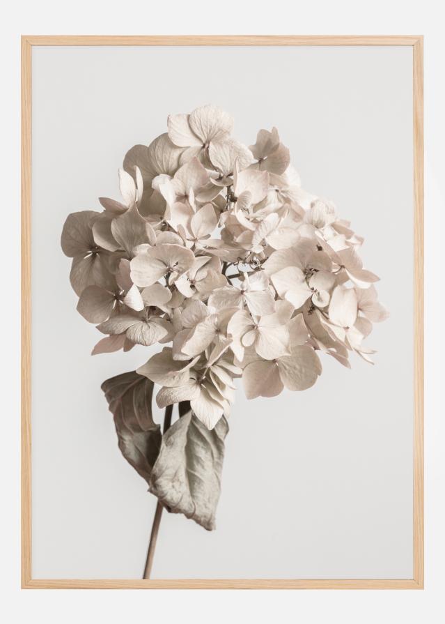 Beige Dried Flower Poszter